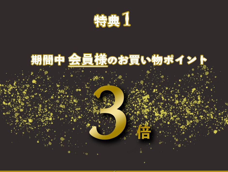 ブラックフライデーランディングページ