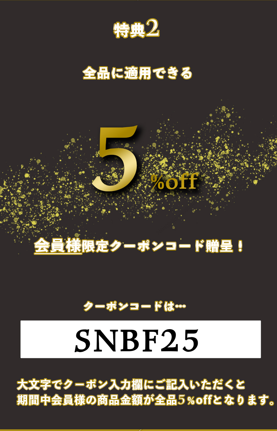 ブラックフライデーランディングページ